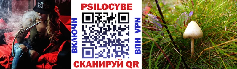 Псилоцибиновые грибы Cubensis  мориарти формула  Кубинка  OMG онион 